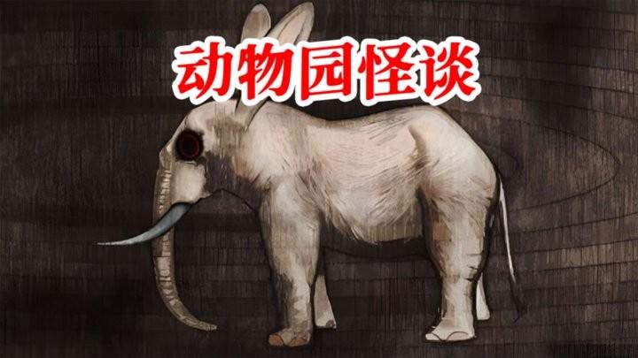 宠物惊魂游戏最新版下载,宠物惊魂,解密游戏